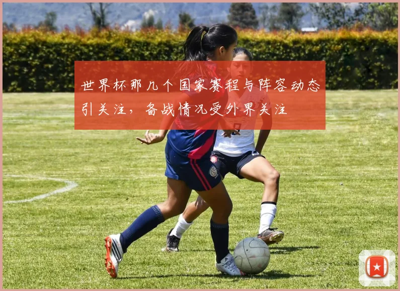 世界杯那几个国家赛程与阵容动态引关注，备战情况受外界关注