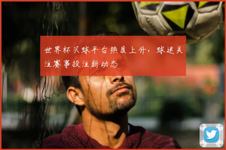 世界杯买球平台热度上升，球迷关注赛事投注新动态