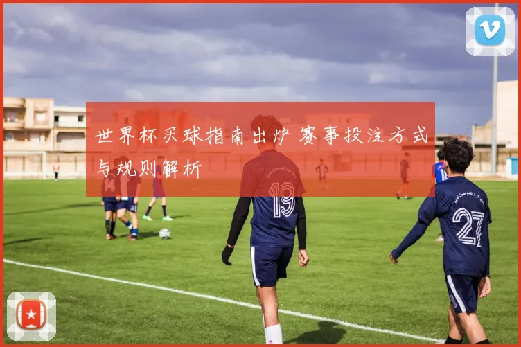 世界杯买球指南出炉 赛事投注方式与规则解析