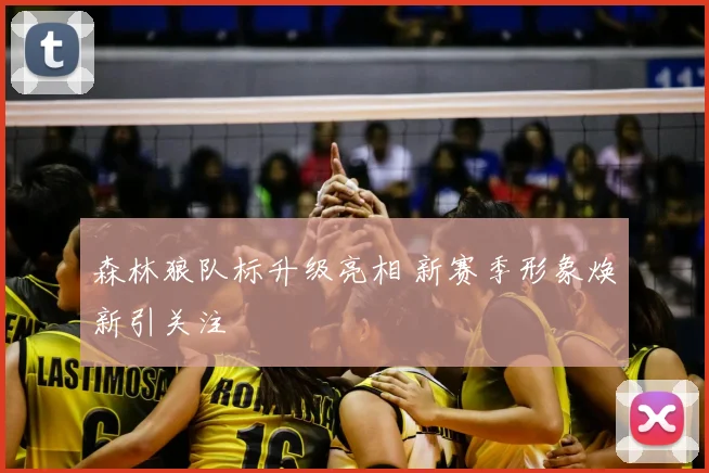 森林狼队标升级亮相 新赛季形象焕新引关注