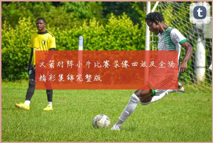 火箭对阵小牛比赛录像回放及全场精彩集锦完整版