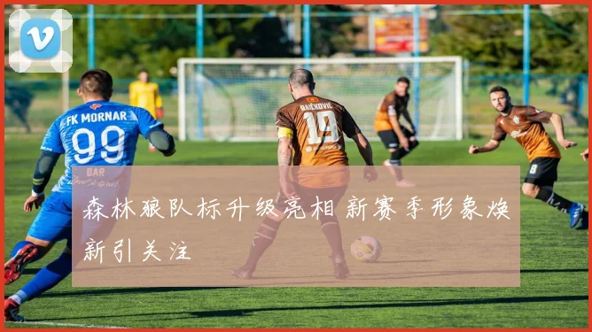 森林狼队标升级亮相 新赛季形象焕新引关注