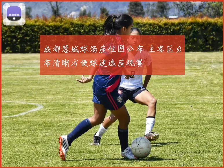 成都蓉城球场座位图公布 主客区分布清晰方便球迷选座观赛